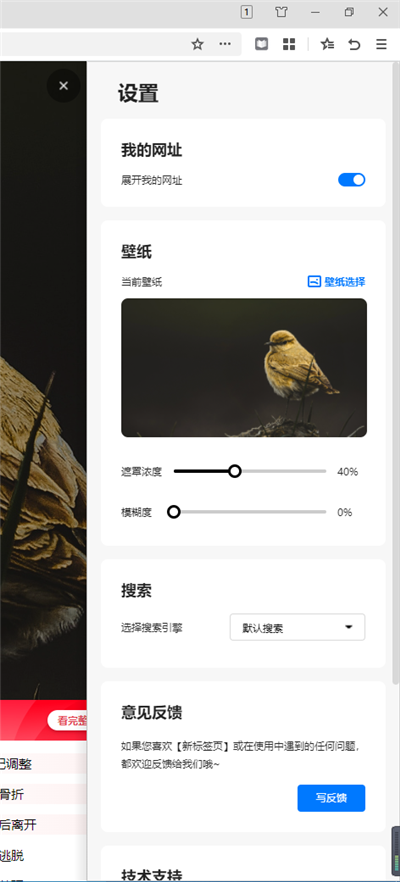 360极速浏览器正式版(图6)