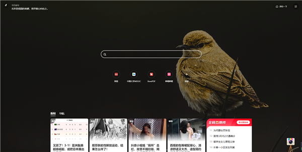 360极速浏览器正式版(图7)